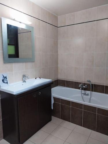 une salle de bain avec une baignoire, un lavabo et une douche dans l'établissement Côté Vignes, à Châtillon-sur-Cher