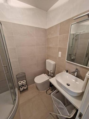 a small bathroom with a toilet and a sink at Apartman Emily2 Dramalj in Dramalj