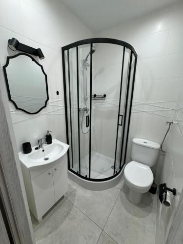 a bathroom with a shower and a toilet and a sink at Apartament nad Włodzicą in Nowa Ruda