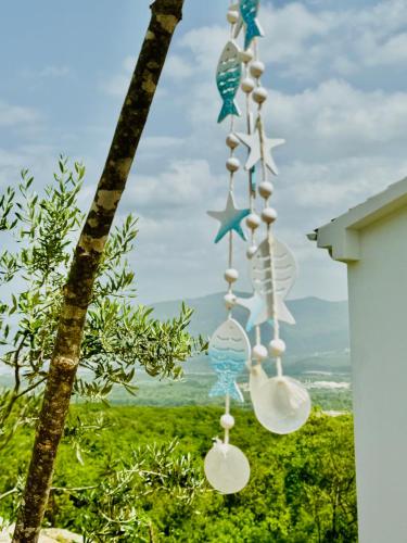 Gallery image of Boka horizont- villa with shared pool in Kotor