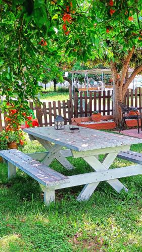 a picnic table in the grass under a tree at Garden House Katerina in Leptokaria