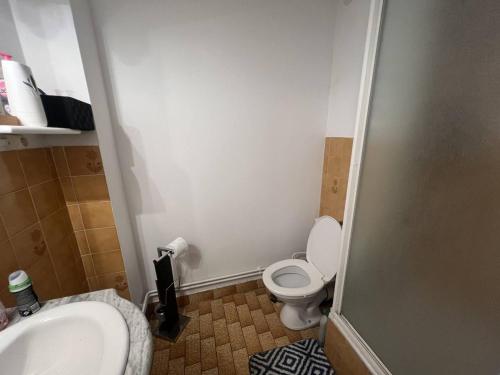 une petite salle de bain avec toilettes et lavabo dans l'établissement JULES VERNE Agréable studio cabine Mt St Martin proche port Cap d'Agde, au Cap d'Agde