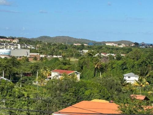 a view of a town with trees and houses at Villa Noo La in Le Robert