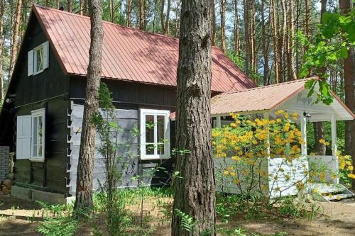 Wilga - urokliwy dom z bala (50 km od Warszawy)