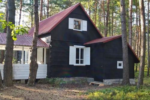 a black house with a red roof in the woods at Wilga - urokliwy dom z bala (50 km od Warszawy) in Ostry Bór