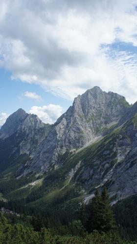 a view of a mountain with trees in front of it at Ferienwohnung Auszeit in Fischen