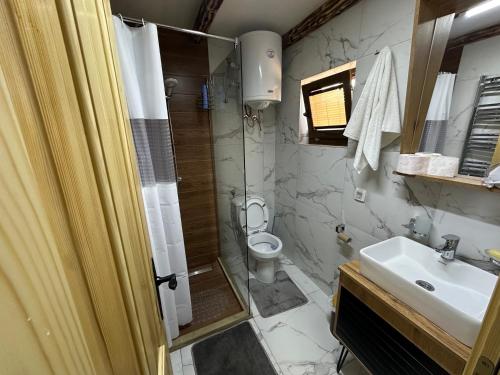 a bathroom with a toilet and a sink and a shower at Zagrad Homes in Zabljak in Žabljak