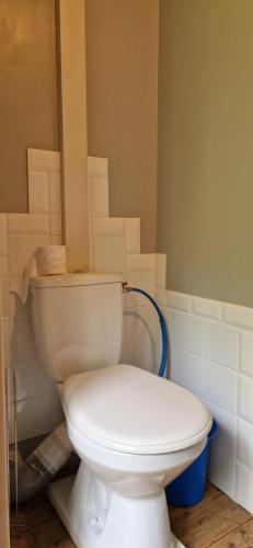 une salle de bain avec des toilettes blanches dans une chambre dans l'établissement Loft Bellevue, à Trôo