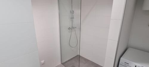 a shower with a glass door in a bathroom at Seabreeze Luxury Apartments in Njivice