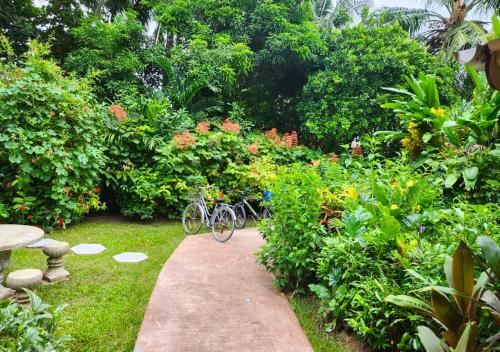 a bike parked on a path in a garden at Buisson Guesthouse in La Digue