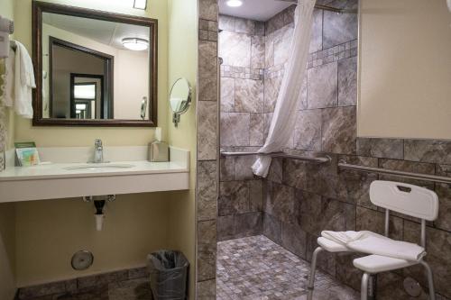La salle de bains est pourvue d'un lavabo et d'une douche. dans l'établissement AmericInn by Wyndham Red Wing, à Red Wing