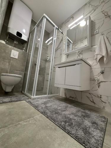 a bathroom with a shower and a sink and a toilet at KIA APARTMENT 2 in Valjevo