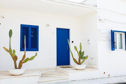 a blue door on a white wall with two plants at Salento Boutique Room B&B in Sant'Isidoro