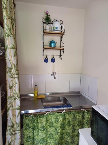 a kitchen with a sink and a counter top at Chalé em Penedo Itatiaia RJ in Itatiaia