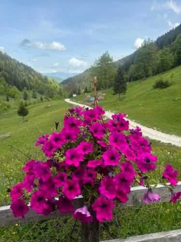 Fotografie z fotogalerie ubytování Vikendice Suvo Do v destinaci Berane