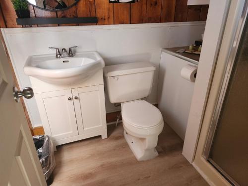 małą łazienkę z toaletą i umywalką w obiekcie The Cove Motel & Restaurant w mieście Aulds Cove