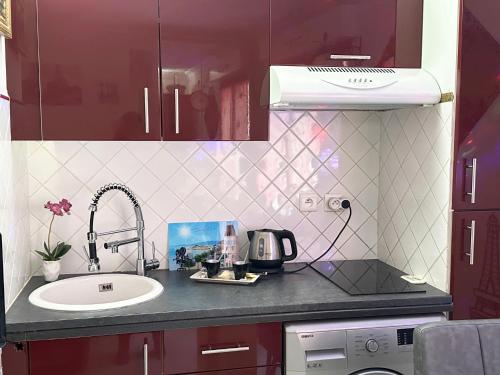 - un comptoir de cuisine avec évier et four micro-ondes dans l'établissement Centre CANNES MER, à Cannes