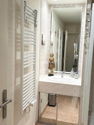 une salle de bain avec un lavabo et un miroir dans l'établissement CANNES CENTRE 5 minutes de la mer, à Cannes