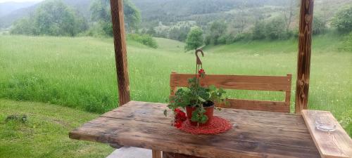 a wooden table with a potted plant on top of a field at Koliba kod Vukašina in Kremna