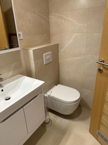 a bathroom with a white toilet and a sink at Bella Vista Luxure Apartments in Baošići
