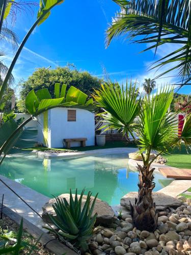 une piscine avec des palmiers devant une maison dans l'établissement Chez Pim's, à Hyères