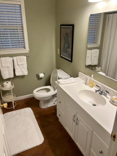 uma casa de banho com um lavatório branco e um WC. em Pool House em Clarksdale