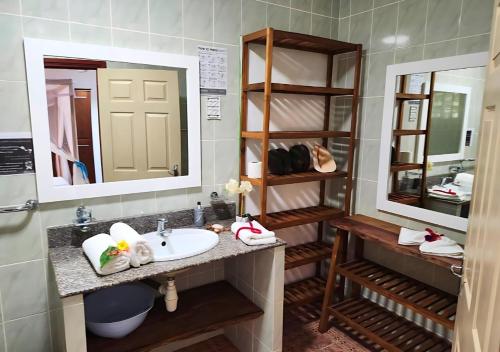 ein Bad mit einem Waschbecken und einem Spiegel in der Unterkunft Buisson Guesthouse in La Digue