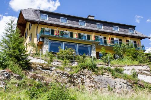 a house on the side of a hill at Haus Salzburgerland in Mauterndorf