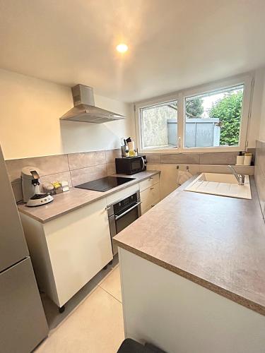 une cuisine avec un évier et un plan de travail dans l'établissement Le Cosy - Centre ville Auxerre - Parking gratuit 50 m, à Auxerre