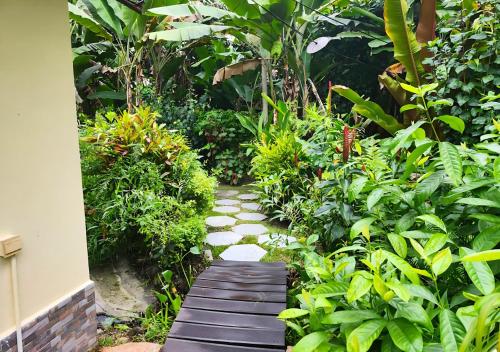 a garden with a walkway in the middle at Buisson Guesthouse in La Digue