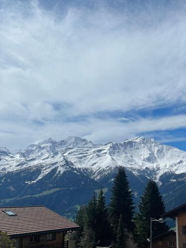 Verbier Luxury Apartment - Newly Renovated - 4 Guests photo 2