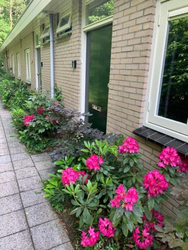 a house with pink flowers in front of it at Rode Eekhoorn: genieten met de dieren in het bos! in Otterlo