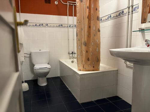 a bathroom with a toilet and a sink at Zubietako Ostatua in Zubieta