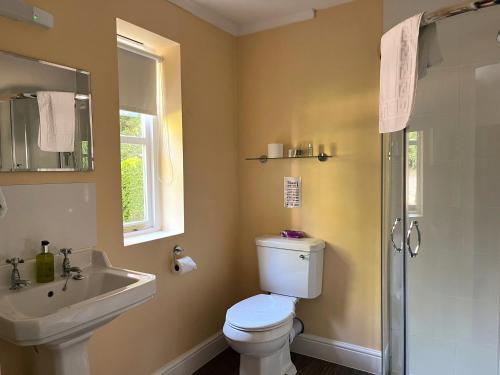 a bathroom with a toilet and a sink and a shower at The Cottage Guest House in Bishops Stortford