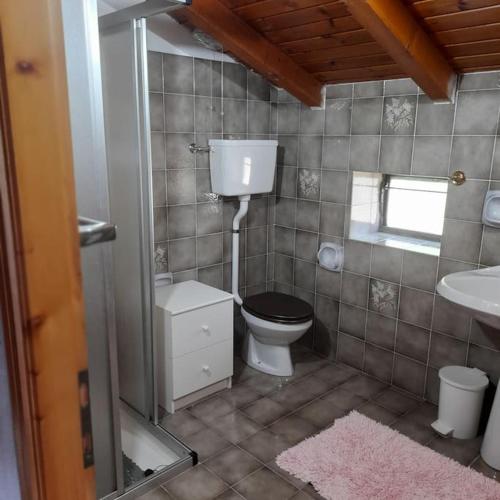 a bathroom with a toilet and a sink at LA CASETTA DELLE NUVOLE in Mazzo di Valtellina