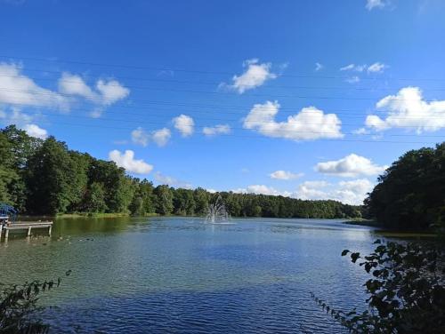a view of a lake with a pier and trees at *Dana pokoje gościnne in Gdańsk