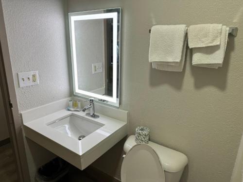 W łazience znajduje się umywalka, toaleta i lustro. w obiekcie Microtel Inn by Wyndham Winston-Salem w mieście Winston-Salem