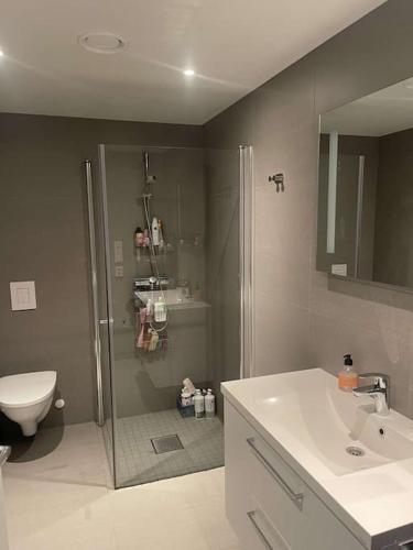 a bathroom with a shower and a toilet and a sink at Oppheimhamna 10c in Bø