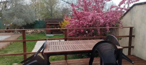 un banc en bois sur une terrasse avec un rosier dans l'établissement L'Olivier, au Mans