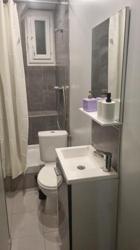 une salle de bain avec toilettes, lavabo et douche dans l'établissement Maison Cocon, à Pantin