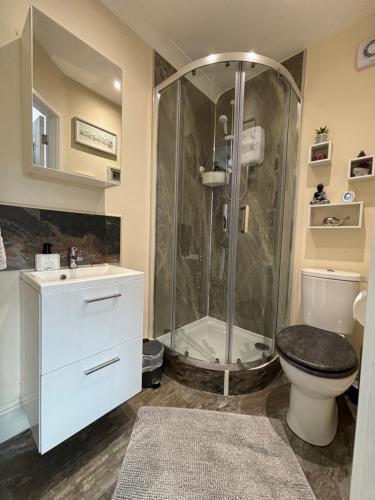 ein Bad mit einer Dusche, einem WC und einem Waschbecken in der Unterkunft Greenlands Guest House in Highbridge