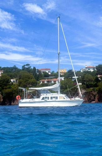 un voilier flottant sur l'eau dans l'océan dans l'établissement Nuit insolite - Bateau Logement Catamaran AVENTURE - Dormez sur l'eau, à Agay