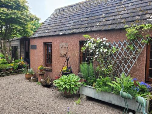 a garden in front of a house with flowers and plants at Kirkstyle Hideaway in Arbroath