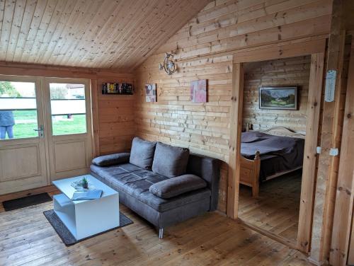 ein Wohnzimmer mit einem Sofa und einem Bett in der Unterkunft Blockhäuser an der Müritz in Ludorf