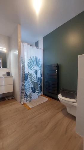 La salle de bains est pourvue de toilettes et d'un mur vert. dans l'établissement Villa Sévina 700m valras plage, à Sérignan