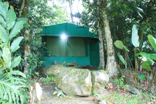 a green building in the middle of a forest at Hotel del Bosque in Río Cuarto