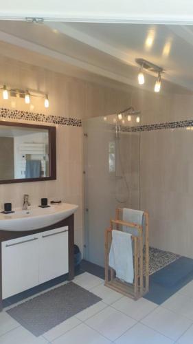 une salle de bain avec un lavabo et une douche avec un miroir dans l'établissement la maison de Lison, au Château-dʼOléron