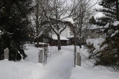 a yard covered in snow with trees and a house at Kräuterpension Säumerpfad in Mauth