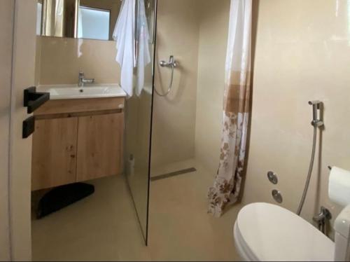 a bathroom with a shower and a sink and a toilet at Rooms Lida & Friendly home in Plav