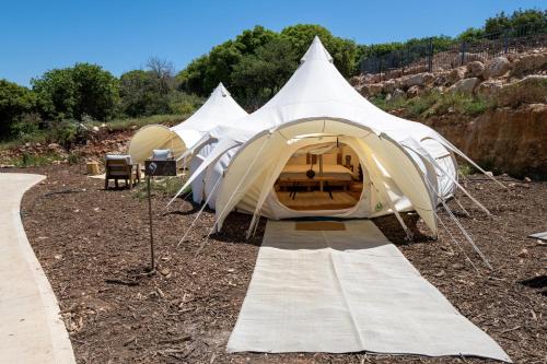 a group of tents parked in a field at Rom Farm by Glow - חוות רום in Kammon